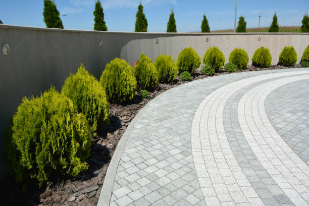 Best Decorative Driveway Pavers  in Maytown, PA